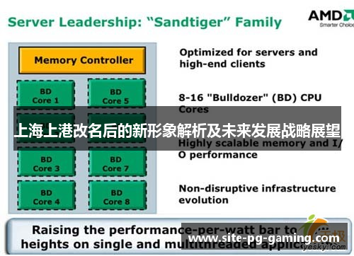 上海上港改名后的新形象解析及未来发展战略展望