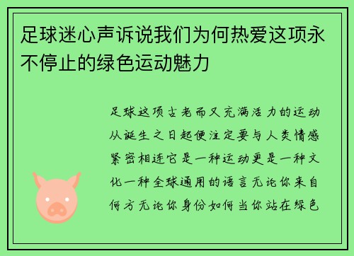 足球迷心声诉说我们为何热爱这项永不停止的绿色运动魅力 足球迷心声诉说我们为何热爱这项永不停止的绿色运动魅力