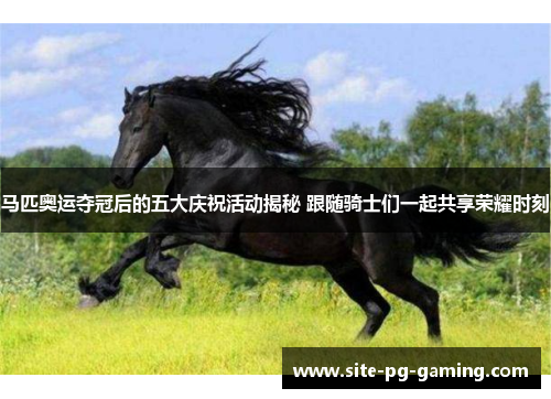 马匹奥运夺冠后的五大庆祝活动揭秘 跟随骑士们一起共享荣耀时刻