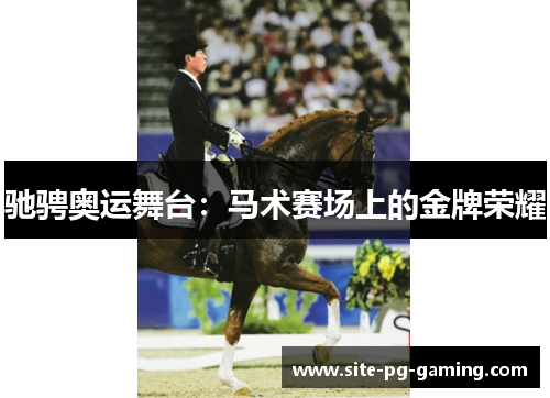 驰骋奥运舞台：马术赛场上的金牌荣耀