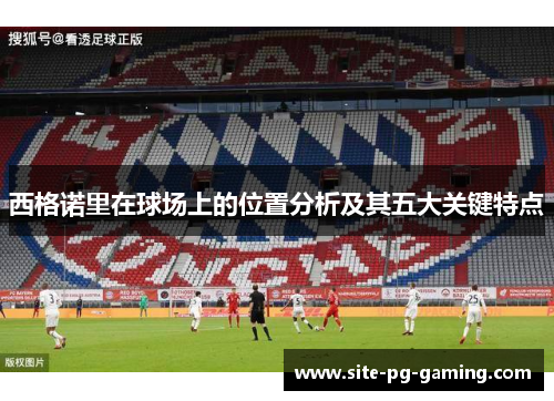 西格诺里在球场上的位置分析及其五大关键特点 西格诺里在球场上的位置分析及其五大关键特点