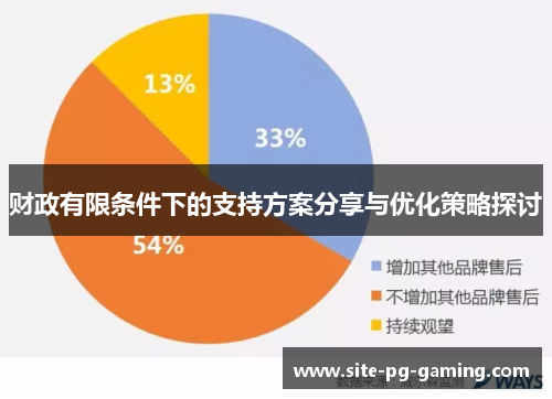 财政有限条件下的支持方案分享与优化策略探讨