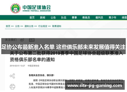 足协公布最新准入名单 这些俱乐部未来发展值得关注