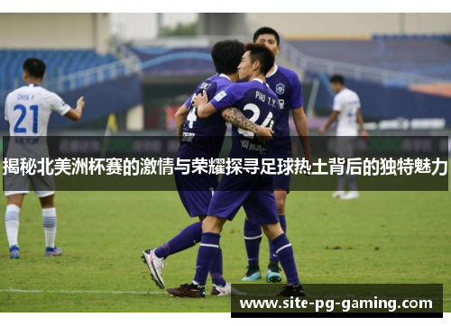 揭秘北美洲杯赛的激情与荣耀探寻足球热土背后的独特魅力