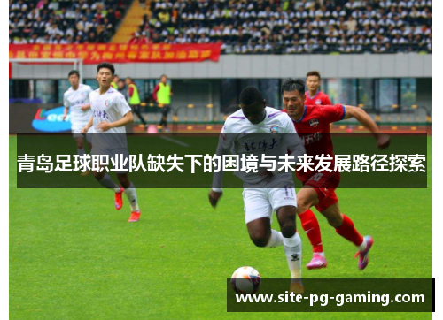 青岛足球职业队缺失下的困境与未来发展路径探索